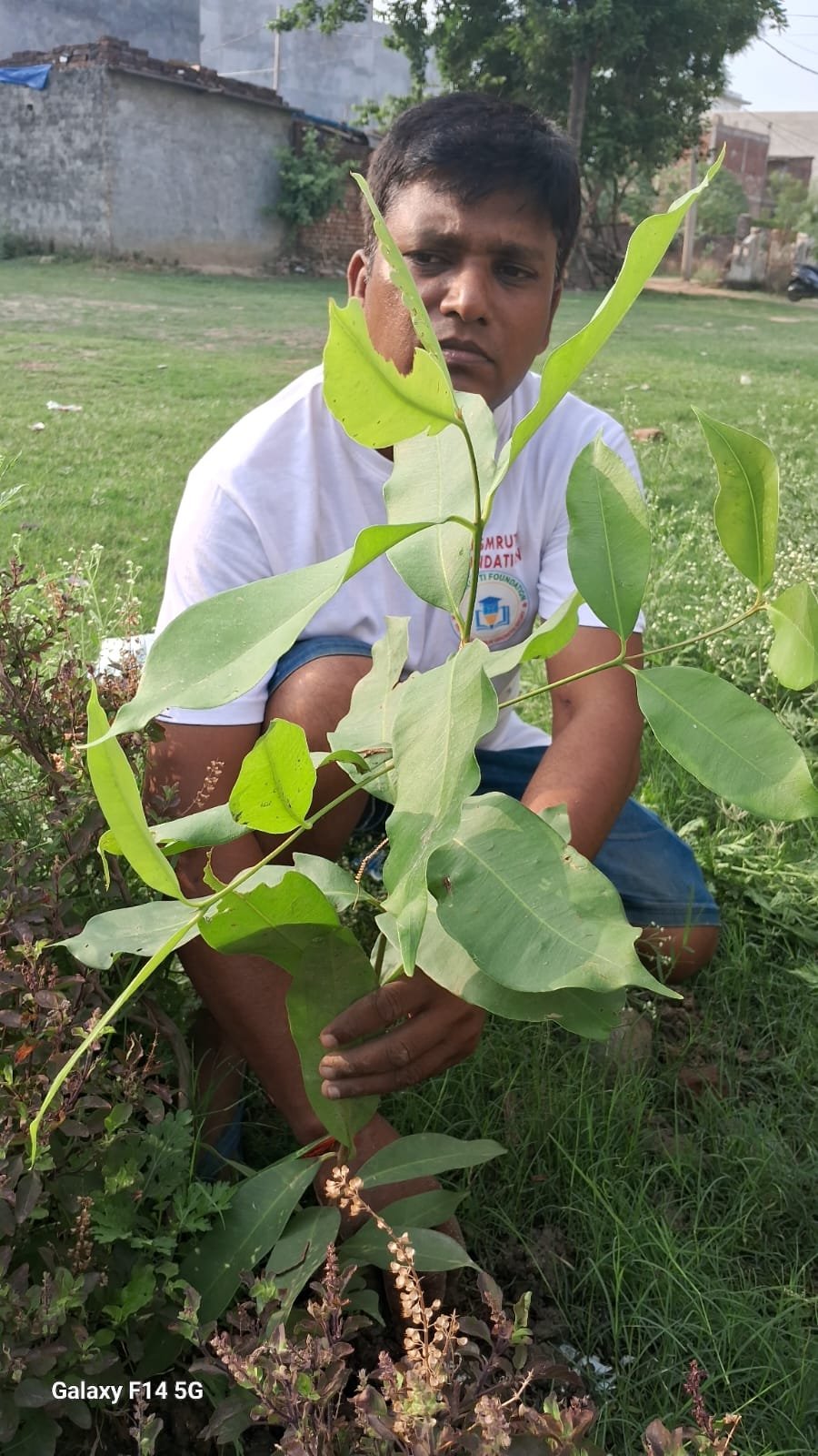 Green India
